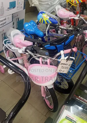 Ladybird Size 20 Bike