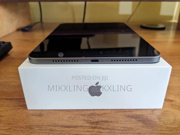 Apple iPad mini (2021) 64 GB Gray