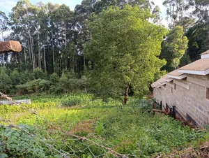 Prime Land for Sale in Nyeri Town