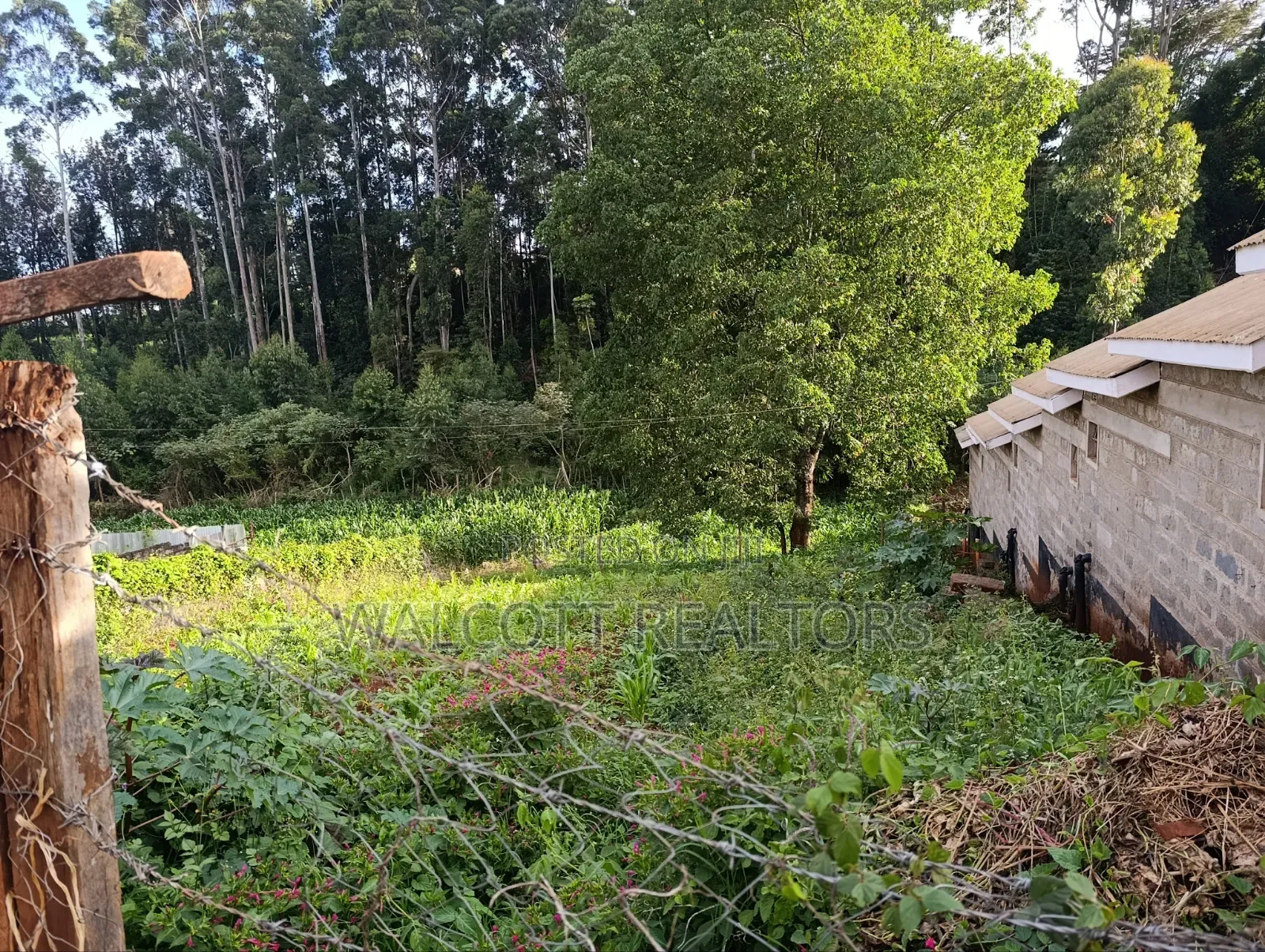 Prime Land for Sale in Nyeri Town