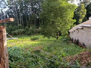 Prime Land for Sale in Nyeri Town