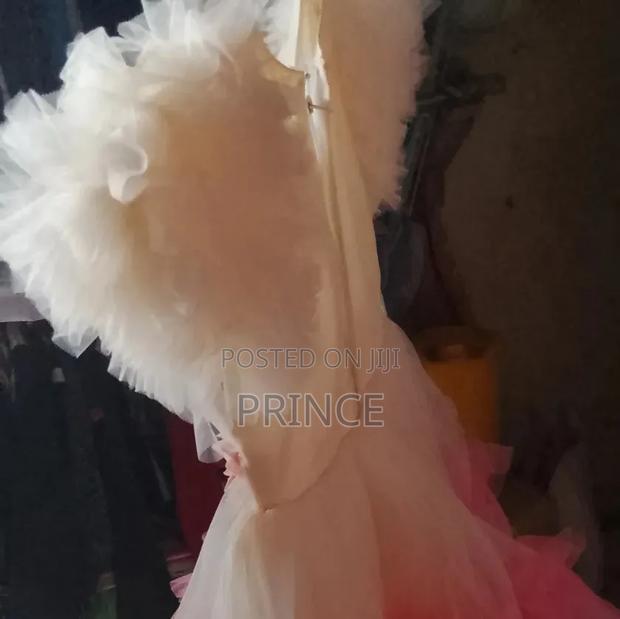 Fashion Designer