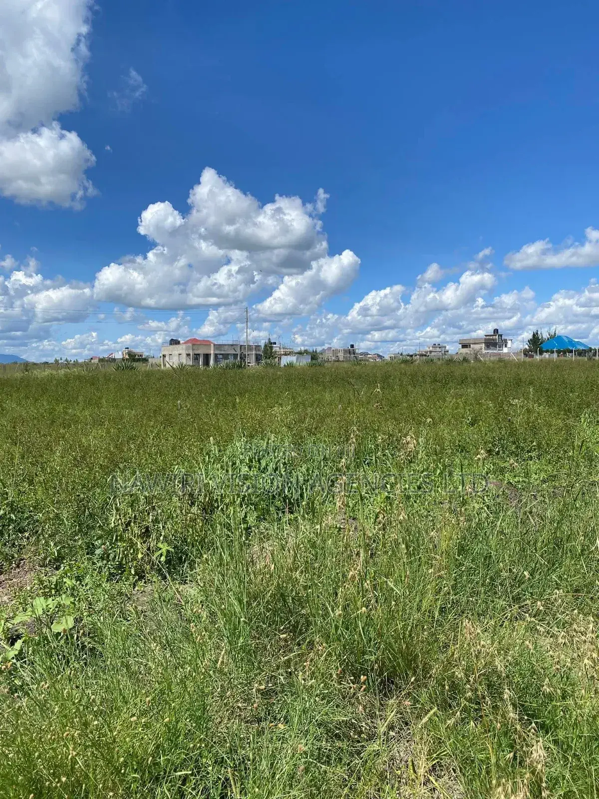 Prime Land for Sale in Malaa
