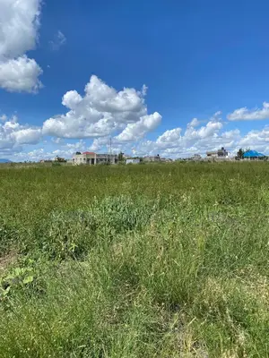 Prime Land for Sale in Malaa