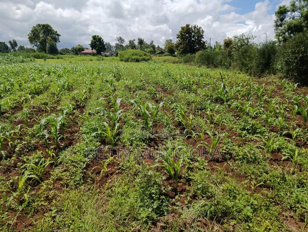Selling Land in Kirinyaga County