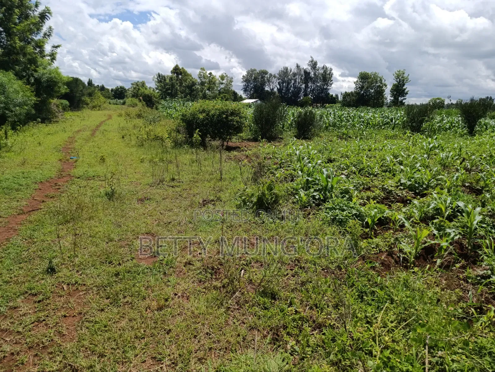 Selling Land in Kirinyaga County