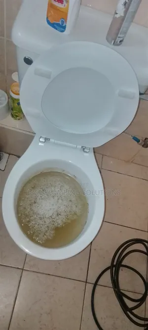 Toilet Clogged? Toilet Leaking,Call Jost Plumbing Solutions Now