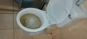 Toilet Clogged? Toilet Leaking,Call Jost Plumbing Solutions Now