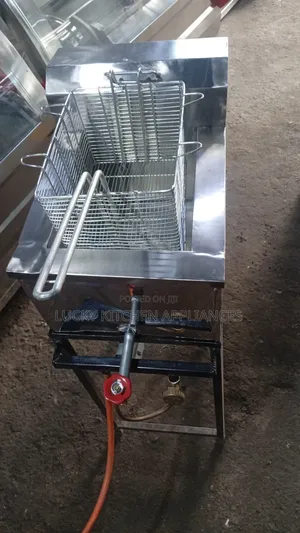 Pure Stainless Steel Single Gas Fryer.
