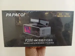 Papago! P200 Hidden Dash Cam