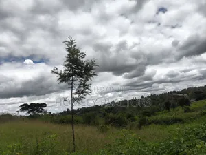 Residential Quarter Acre Plot for Sale in Ngong, Ol Keri