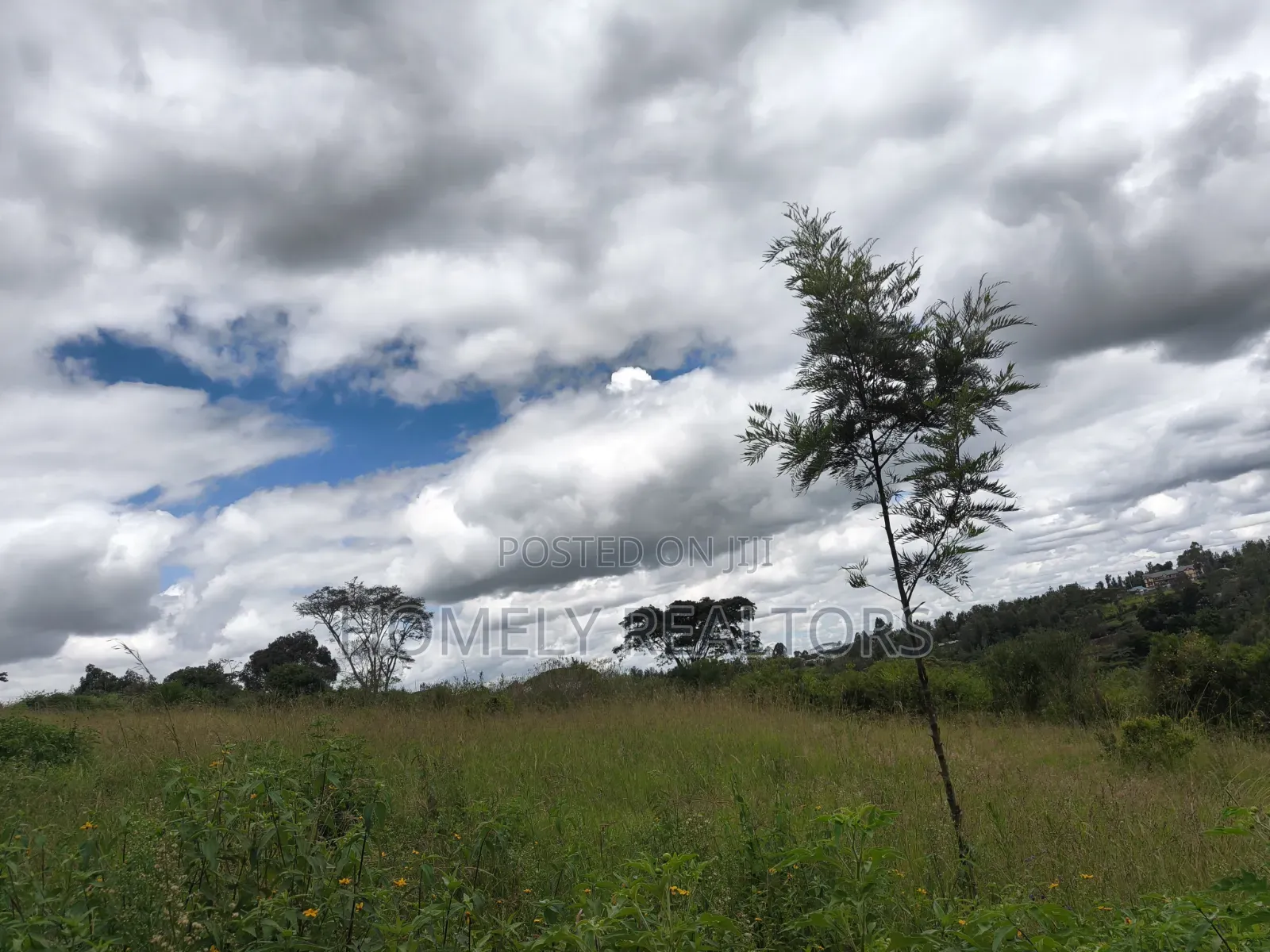 Residential Quarter Acre Plot for Sale in Ngong, Ol Keri