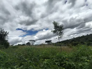 Residential Quarter Acre Plot for Sale in Ngong, Ol Keri