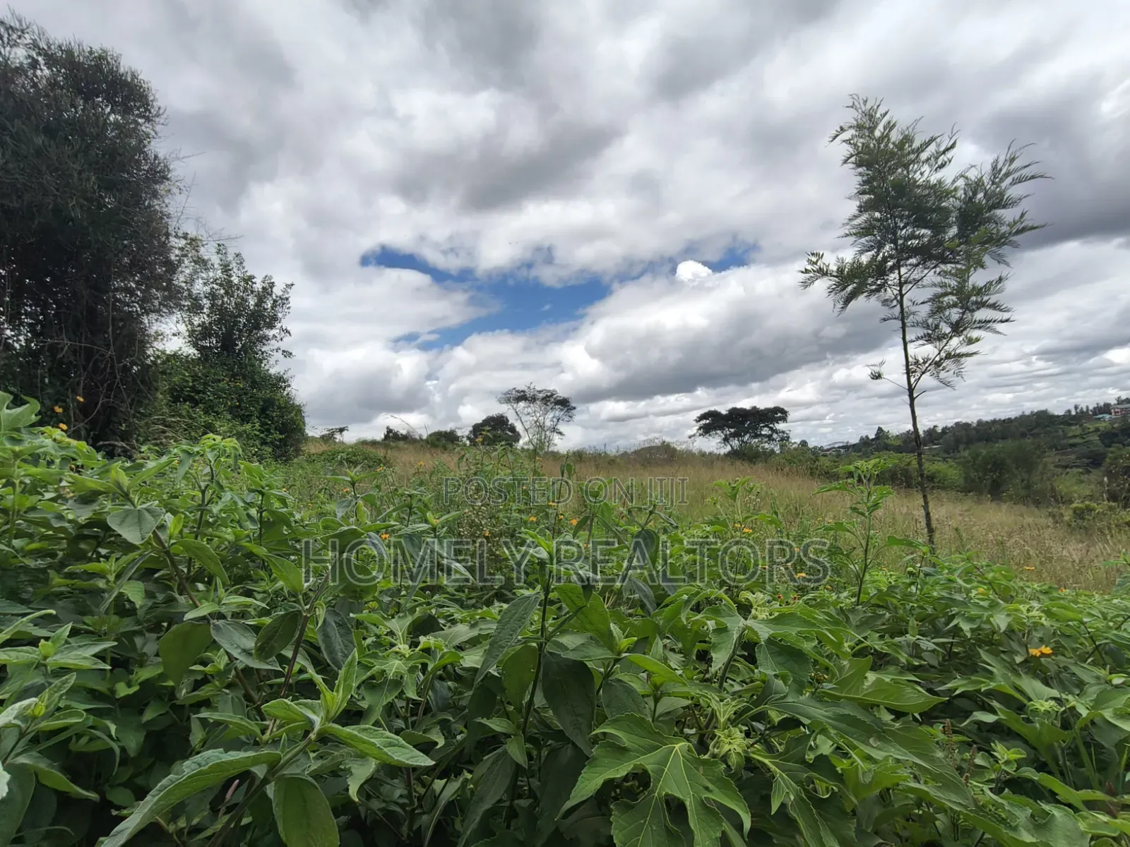 Residential Quarter Acre Plot for Sale in Ngong, Ol Keri