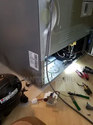 Lg Inverter Fridge Repair
