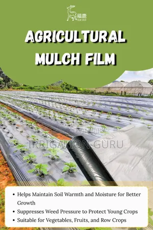 Mulch Film for Kales
