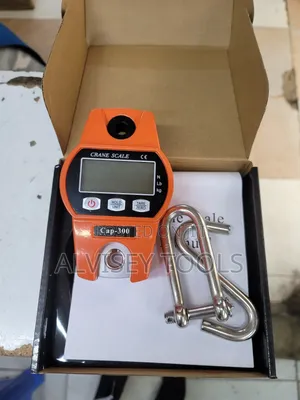 Mini Crane 300kg