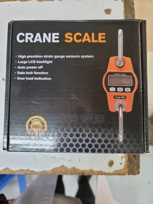 Mini Crane 300kg