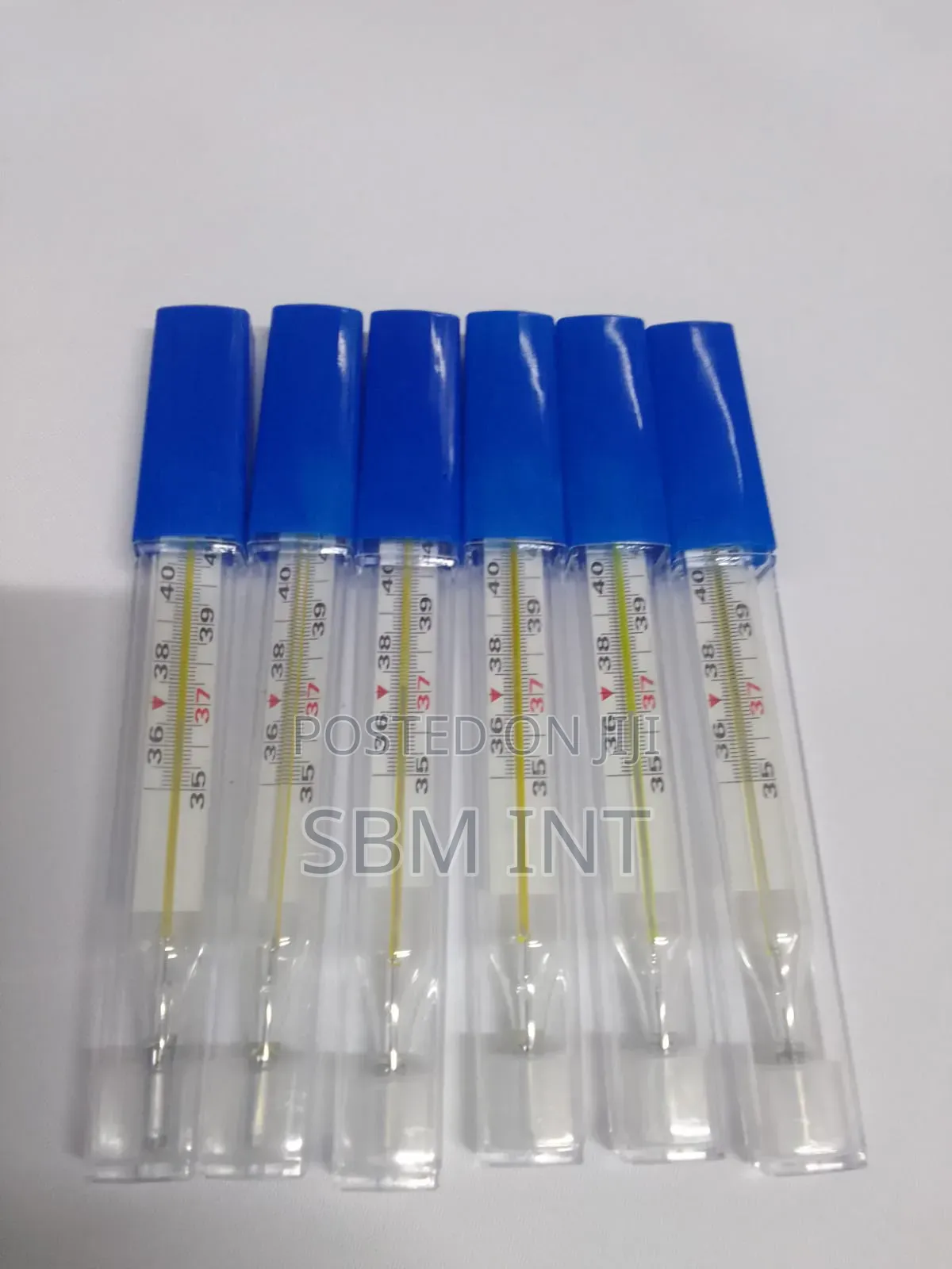 Mercury Thermometer