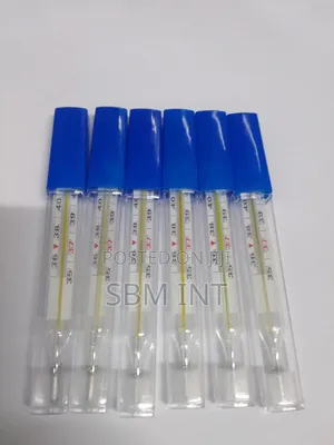 Mercury Thermometer