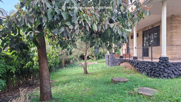 4bdrm Mansion in Zambia Road, Ngong CBD for rent - thumbnail 14
