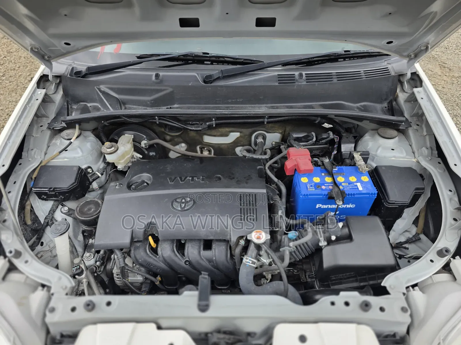 Toyota Succeed 2019 White