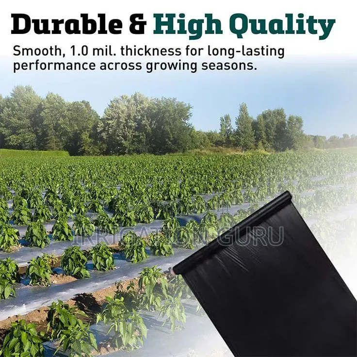 60 Microns Mulching Pineapple Film