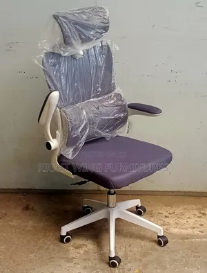 Moveable Arms Brand New Ergonomic Office Chair