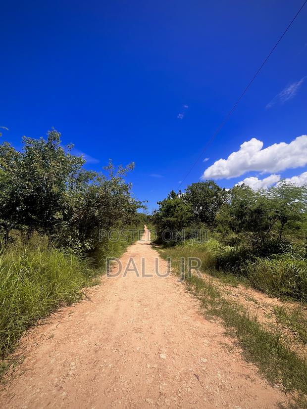 Land for Sale ! - thumbnail 3