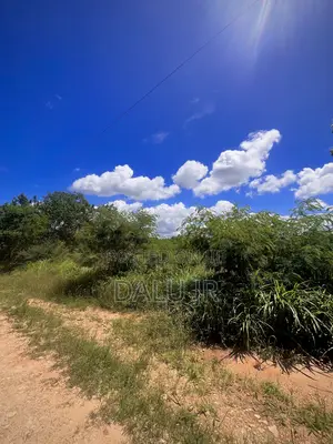 Land for Sale !