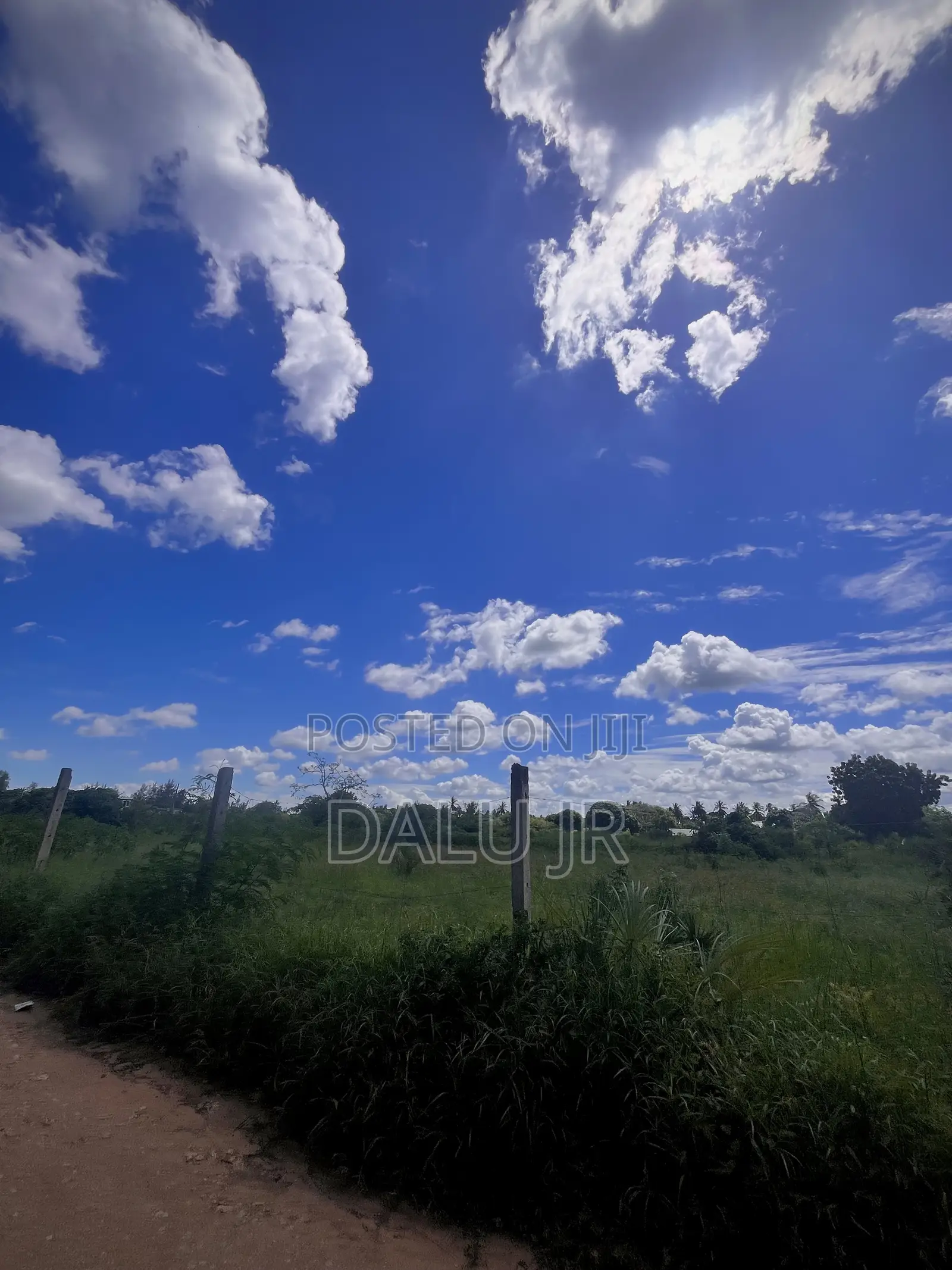 Land for Sale !