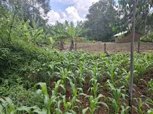 0.15 Ha Plot Ranje