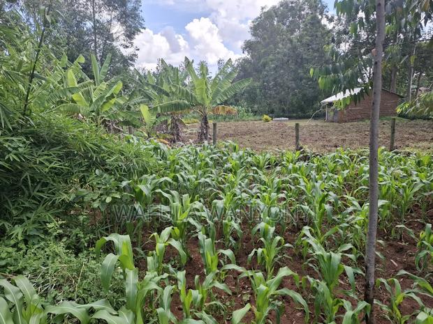 0.15 Ha Plot Ranje