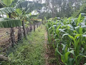 0.15 Ha Plot Ranje