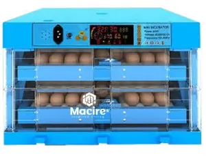 64 Eggs Incubator Machine