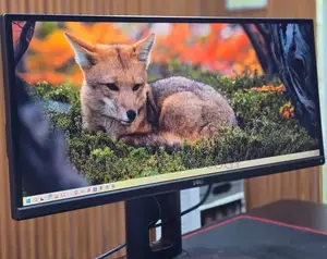 Dell 29inch Monitor Model: U2913wht