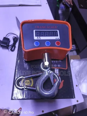 500kg Hanging Scale
