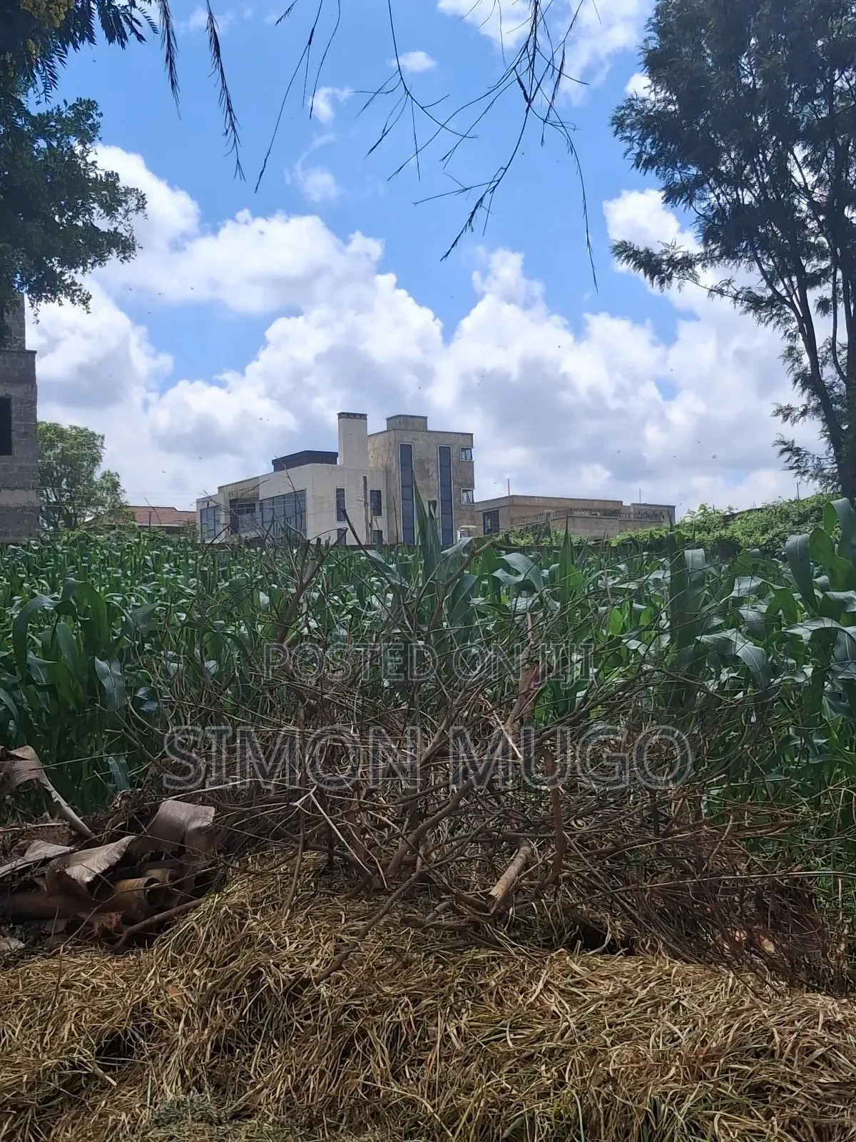 Kamiti Ridge Estate Prime Fully Serviced 1/4 Acre Corner Plot