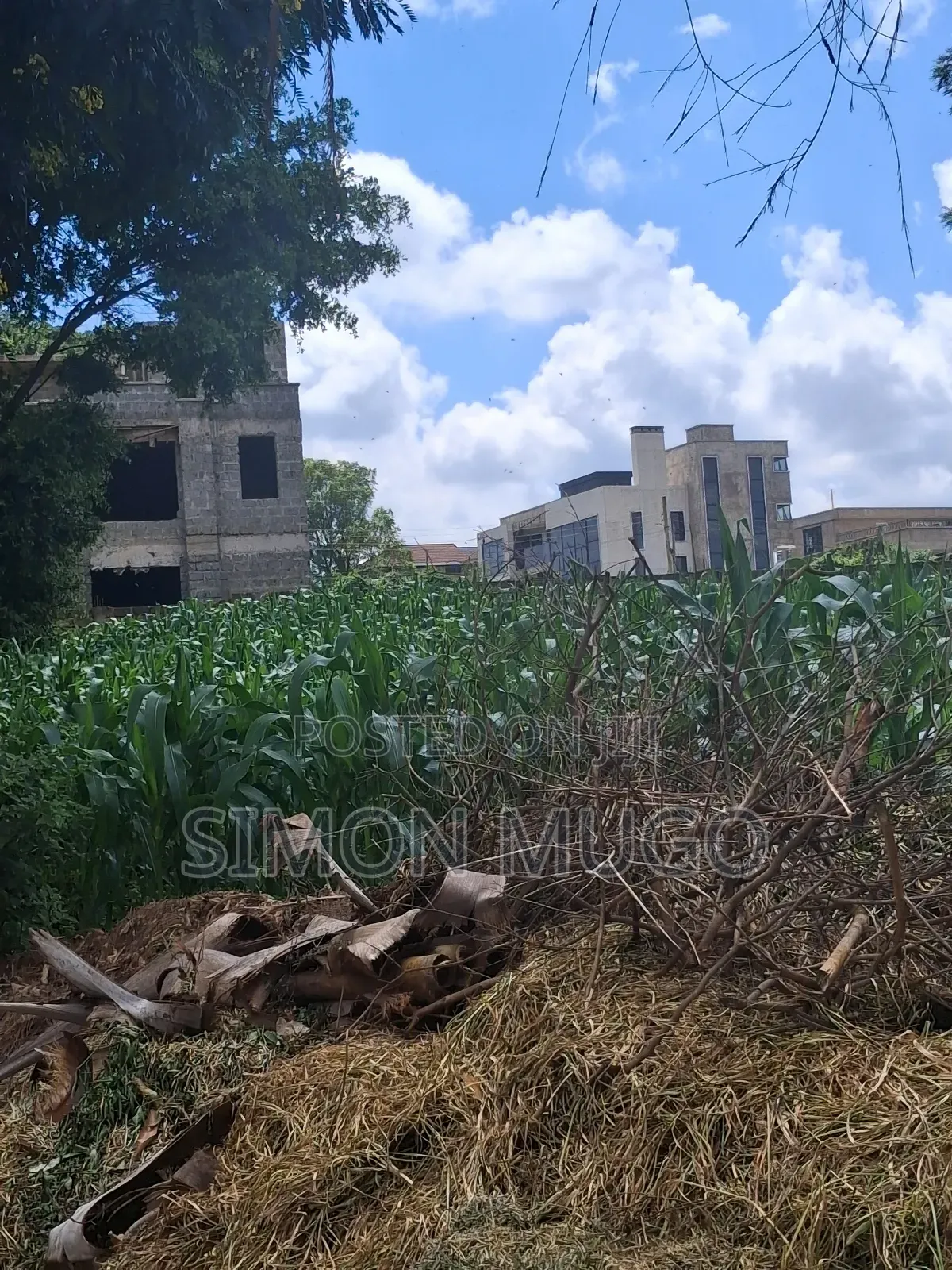 Kamiti Ridge Estate Prime Fully Serviced 1/4 Acre Corner Plot