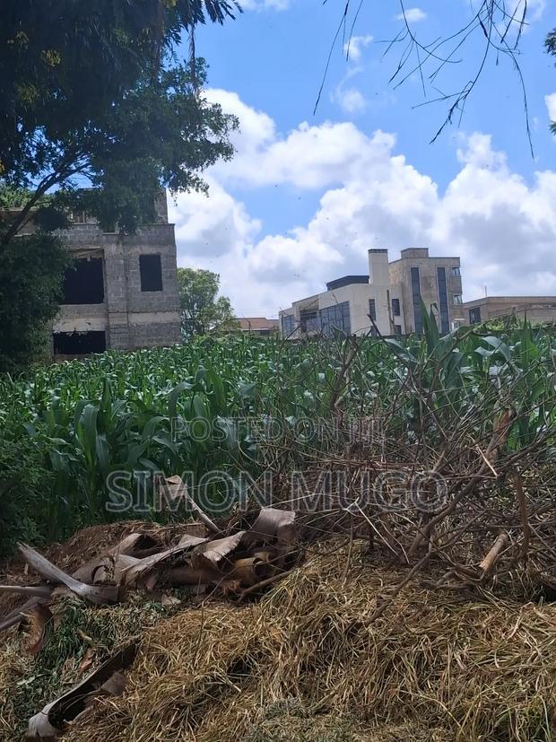 Kamiti Ridge Estate Prime Fully Serviced 1/4 Acre Corner Plot - thumbnail 4