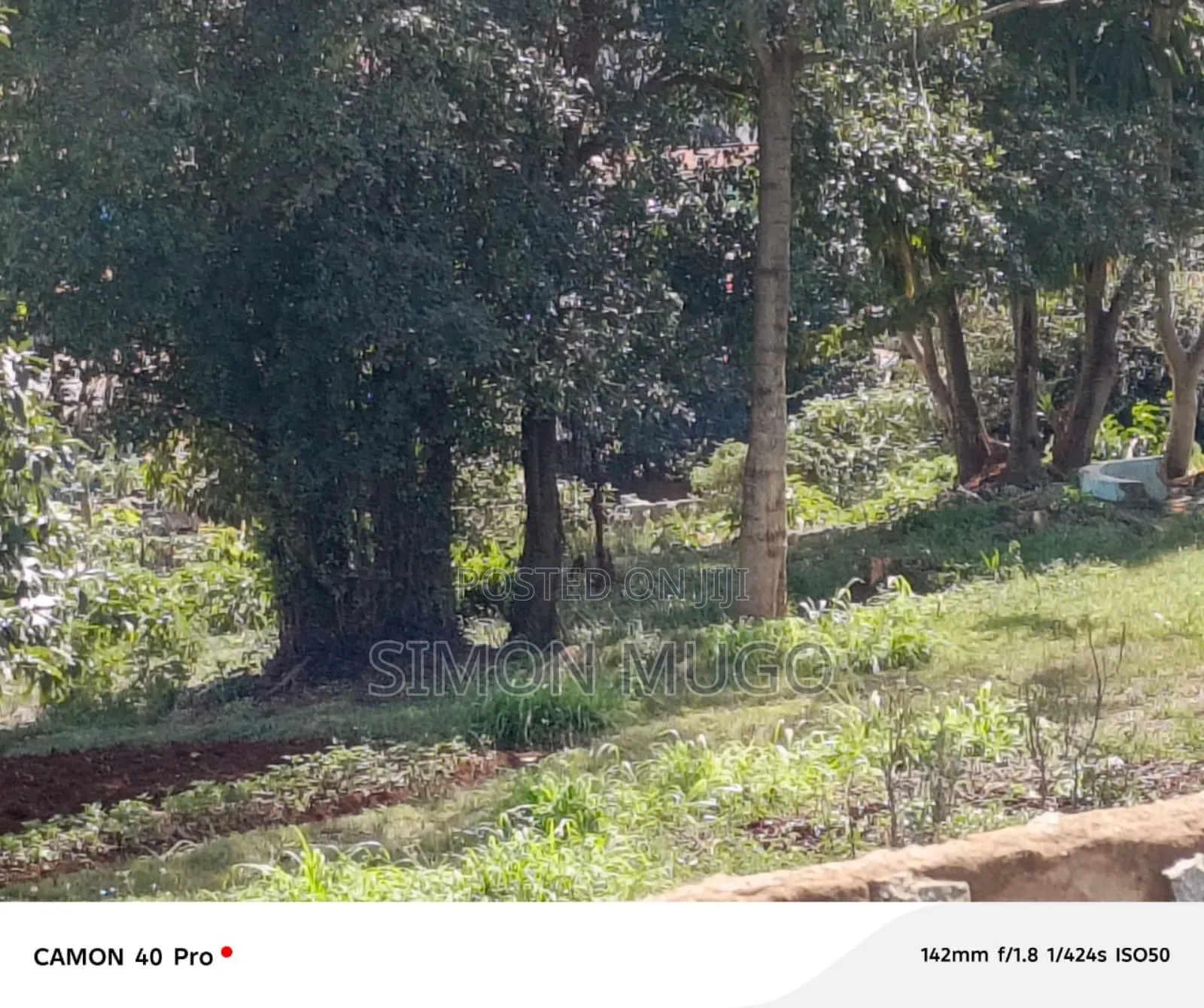 Kamiti Ridge Estate Prime Fully Serviced 1/4 Acre Corner Plot