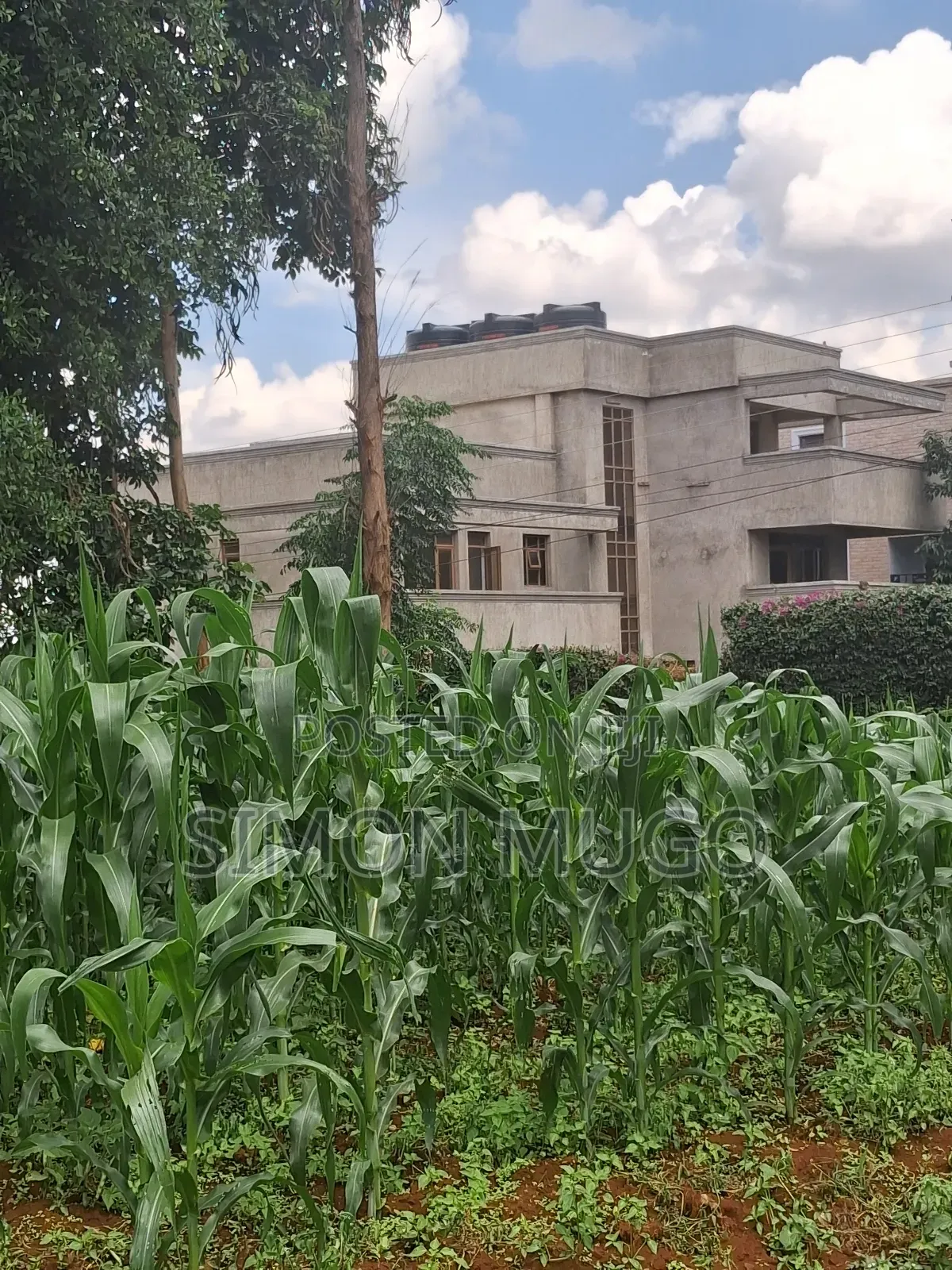 Kamiti Ridge Estate Prime Fully Serviced 1/4 Acre Corner Plot