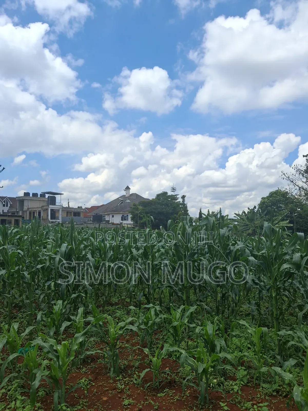 Kamiti Ridge Estate Prime Fully Serviced 1/4 Acre Corner Plot