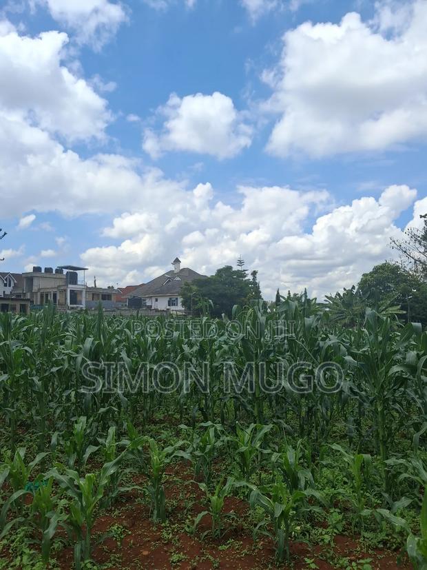 Kamiti Ridge Estate Prime Fully Serviced 1/4 Acre Corner Plot - thumbnail 18