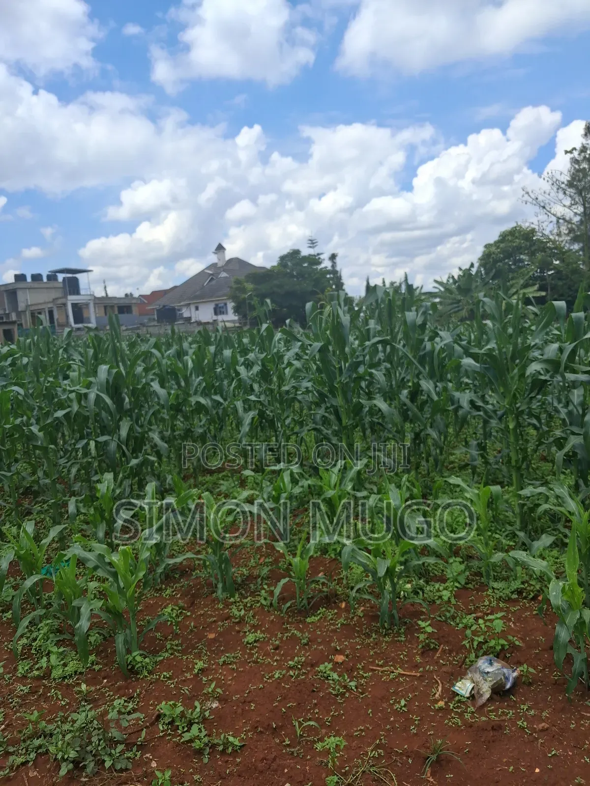 Kamiti Ridge Estate Prime Fully Serviced 1/4 Acre Corner Plot