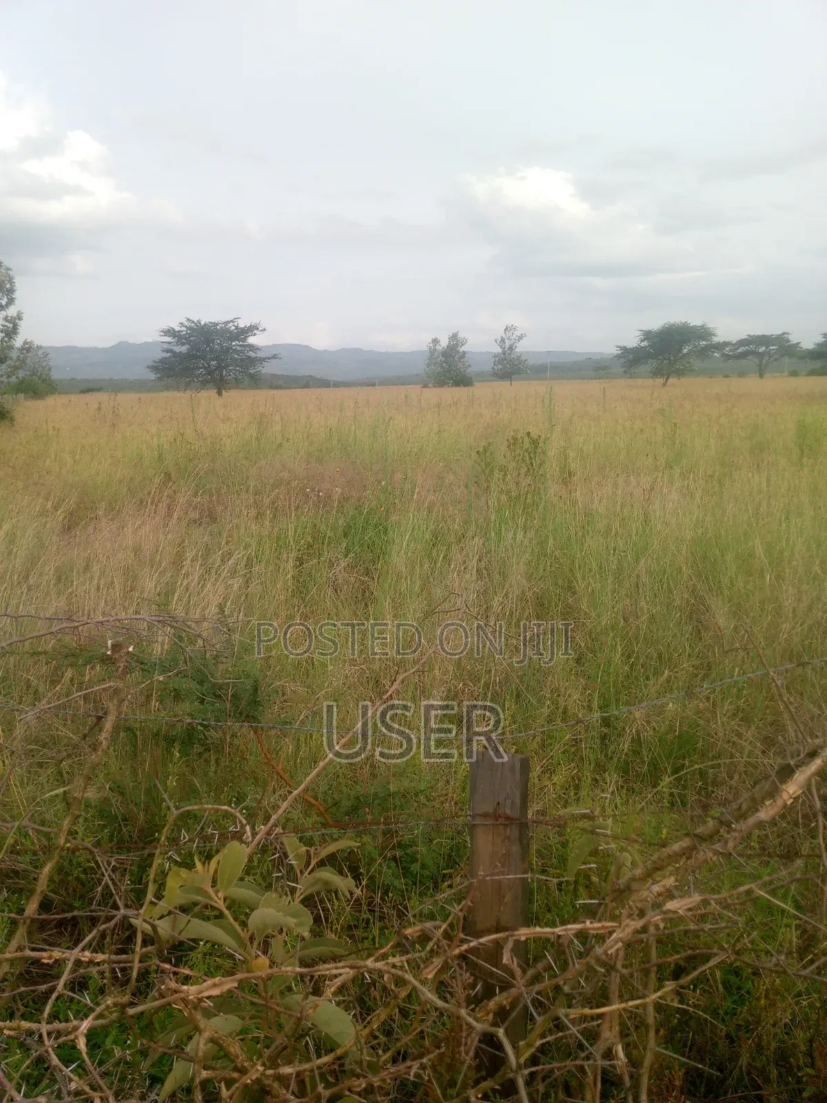 Lanet Area