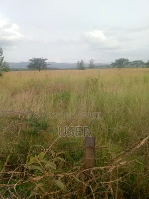Lanet Area