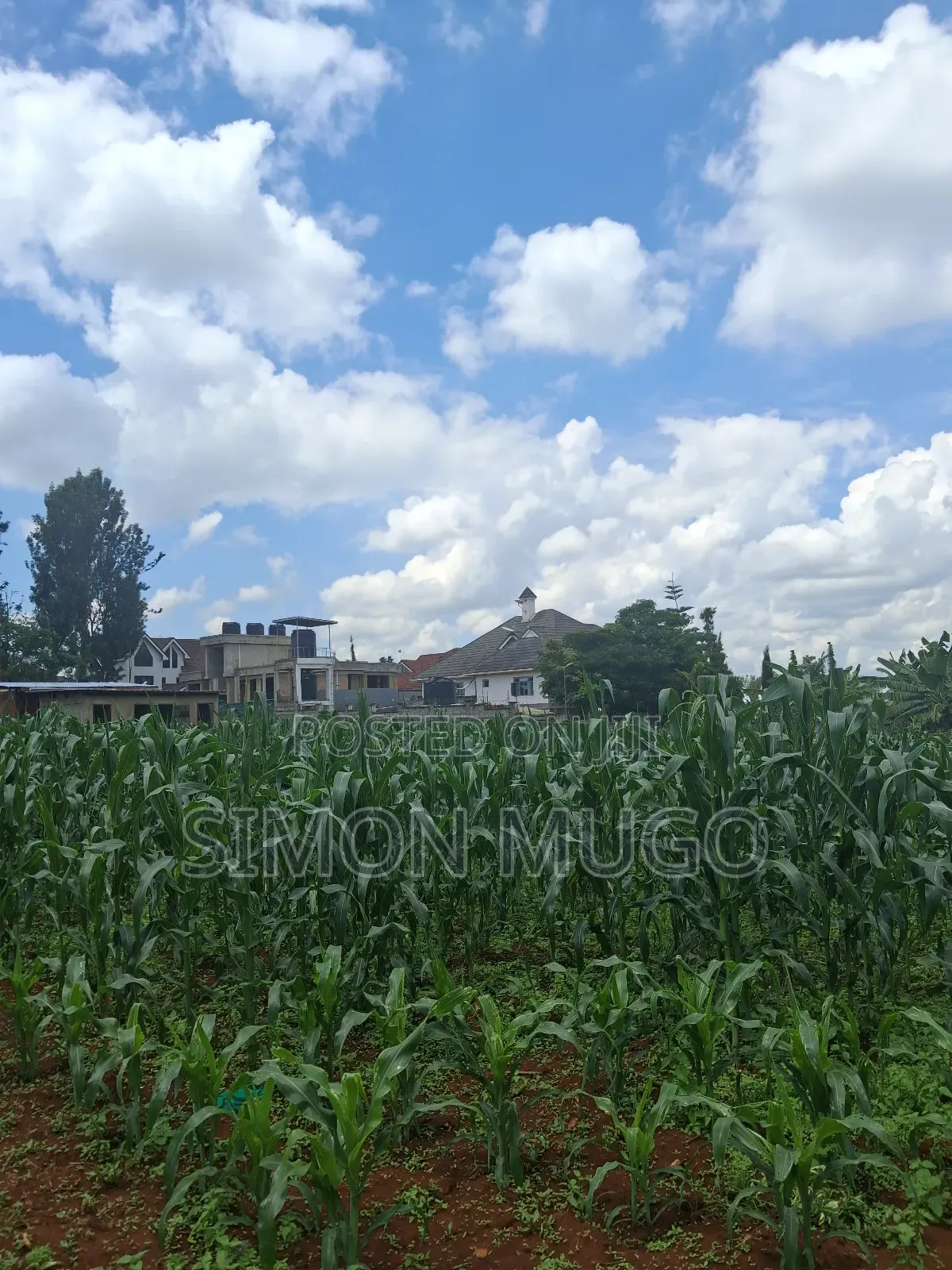 Runda Prime 1.5 Acres Touching Northern Bypass