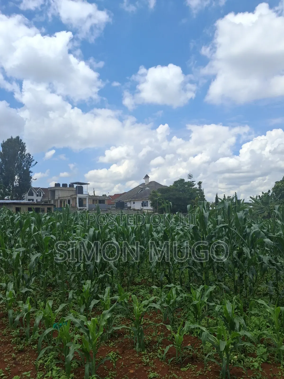 Runda Prime 1.5 Acres Touching Northern Bypass