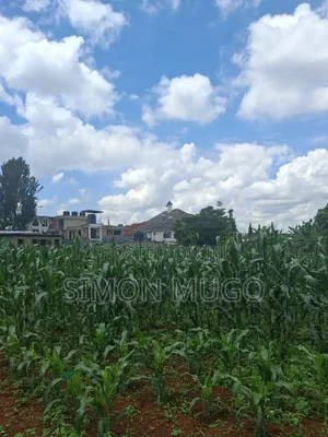 Runda Prime 1.5 Acres Touching Northern Bypass
